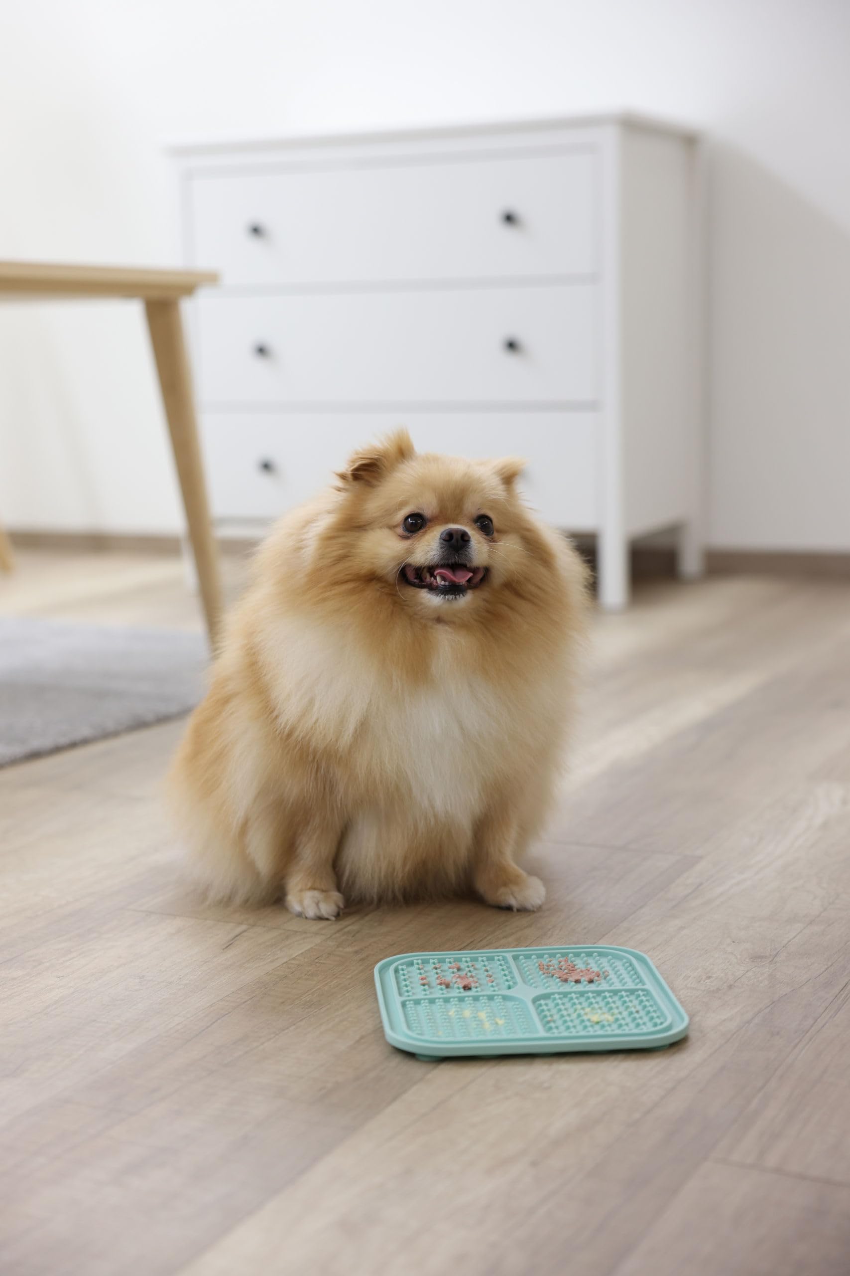 kerbl-pet-tapis-l-cher-20x20cm-turquoise image 5