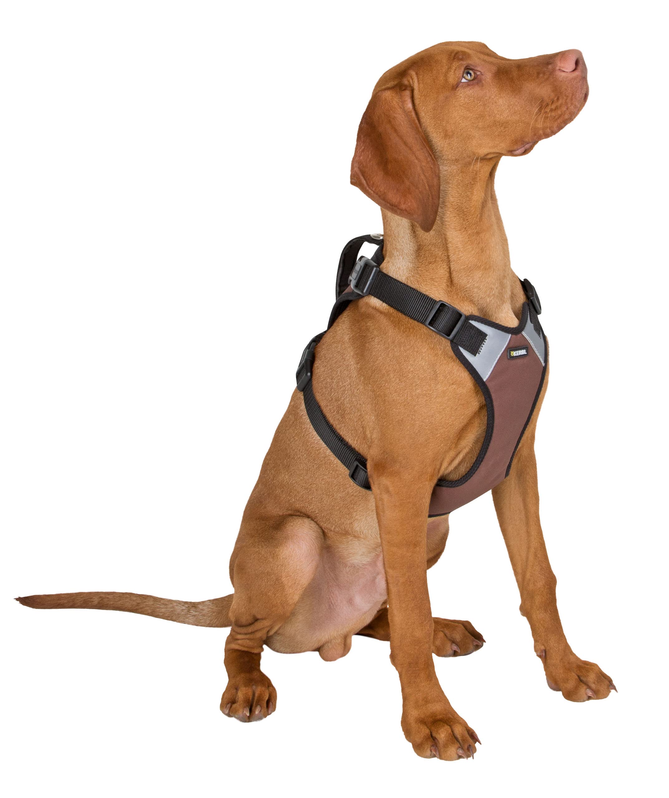kerbl-pulsive-harnais-chien-r-glable-avec-bandes-r-fl-chissantes image 3