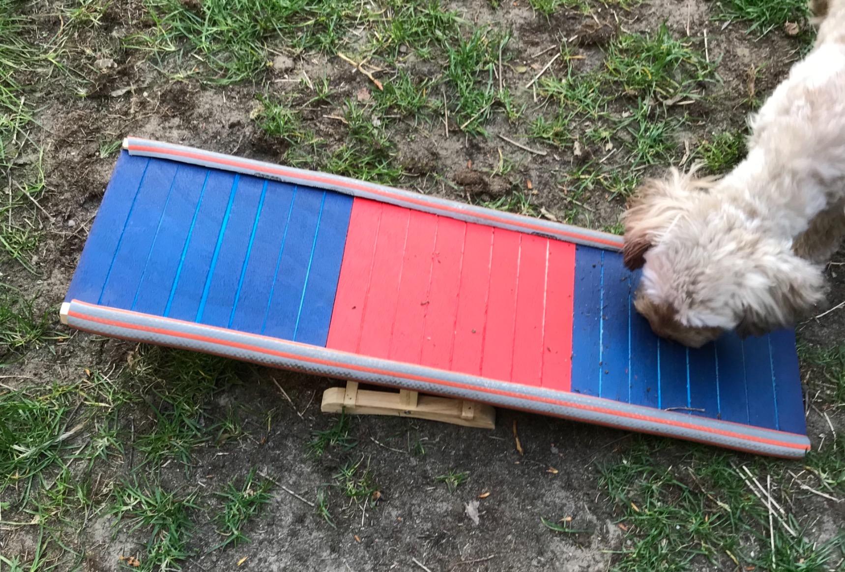Parfait pour l'agility maison