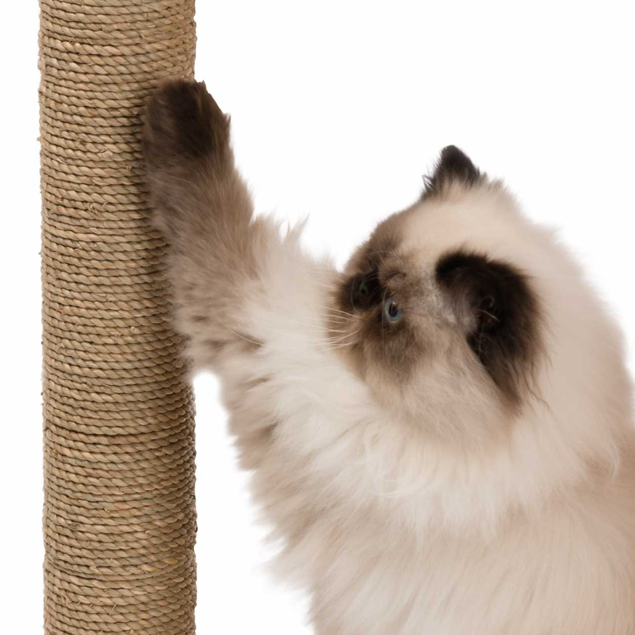 catit-vesper-box-naturel-taille-s-meuble-arbre-chat-compact image 7