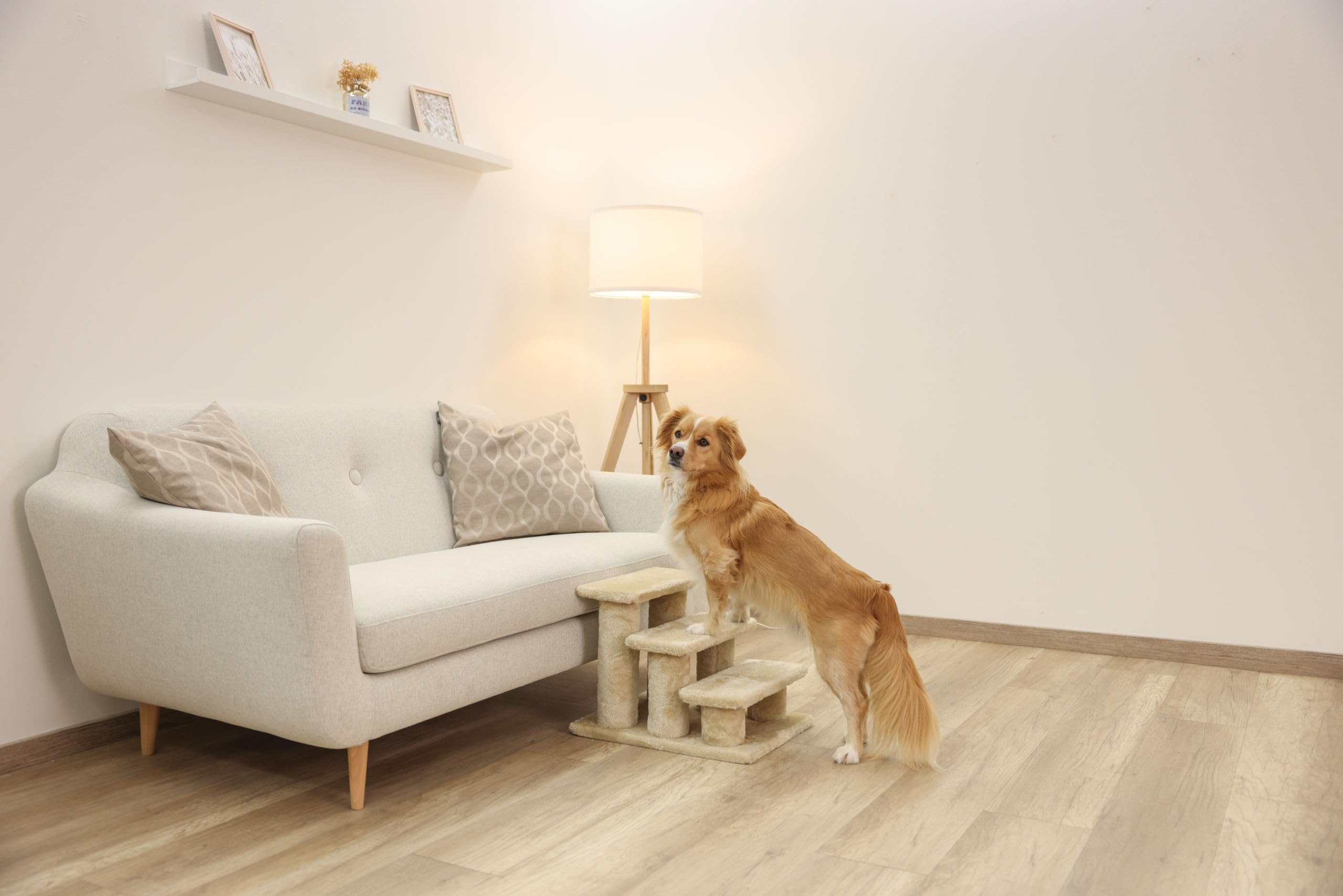 kerbl-pet-easy-climb-2-0-escalier-pour-animaux-beige-45x35x34-cm-50-kg image 4