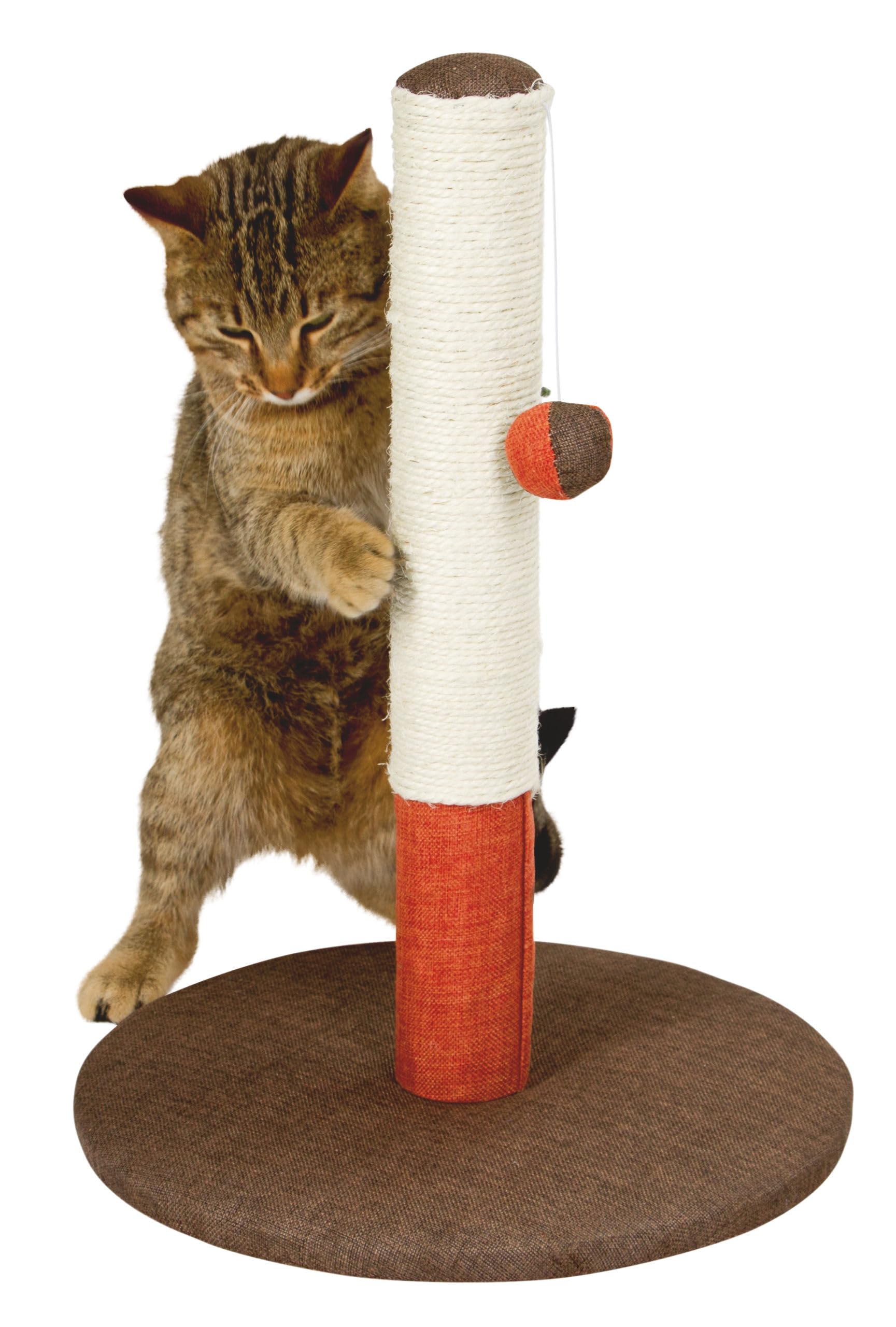 kerbl-opal-basic-arbre-chat-vert-gris-37-x-37-x-50-cm image 4
