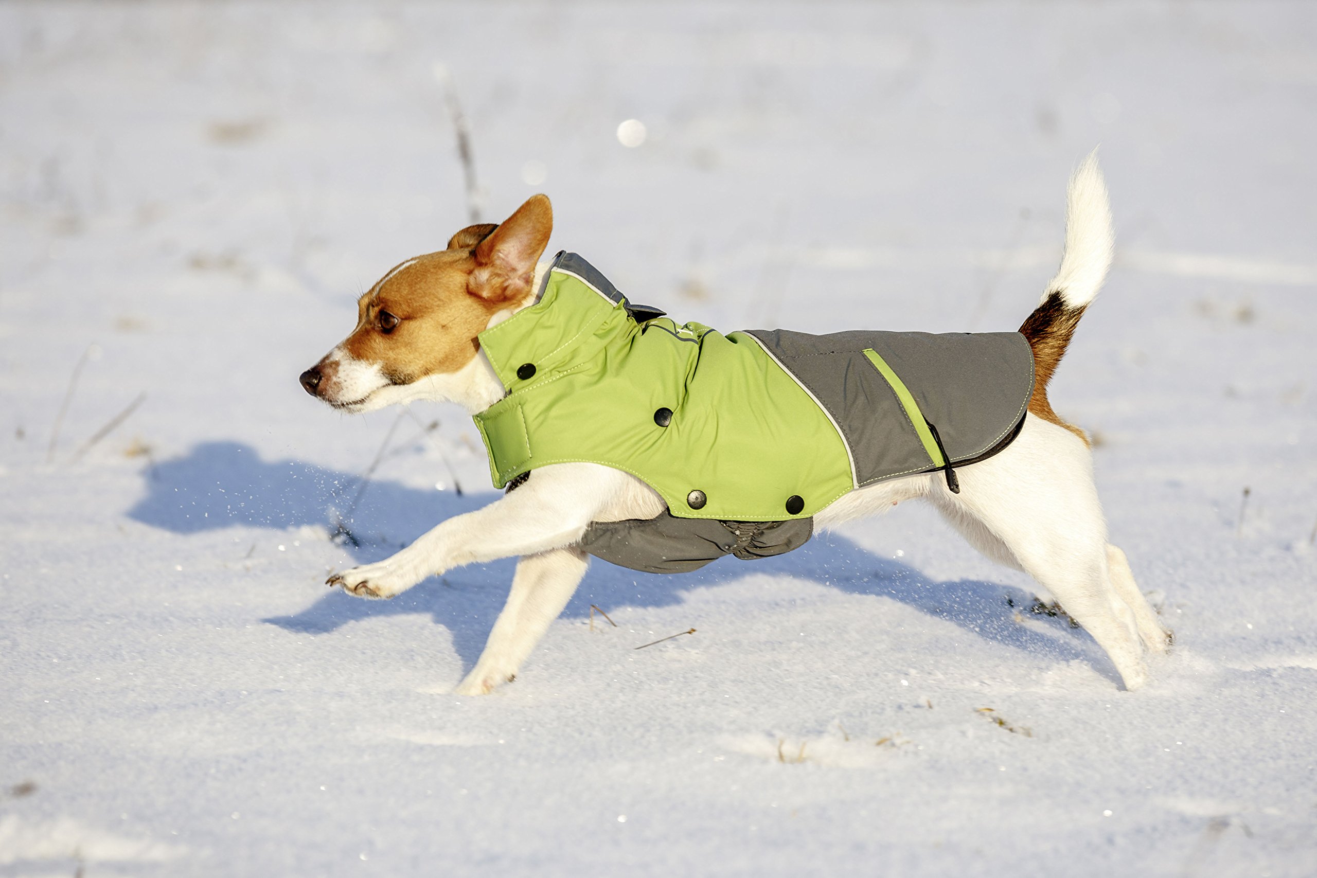 kerbl-vancouver-manteau-chien-vert-gris-45-cm-polyester image 5