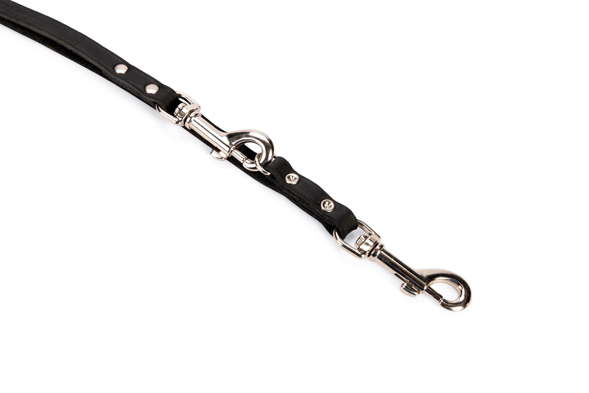 karlie-rondo-laisse-en-cuir-avec-rivets-pour-chien image 2