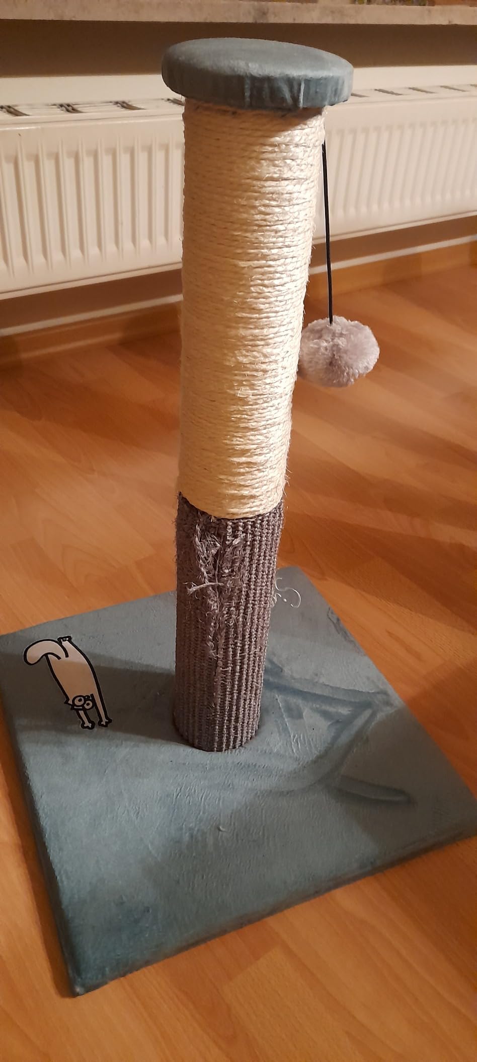 Bien pour petit budget