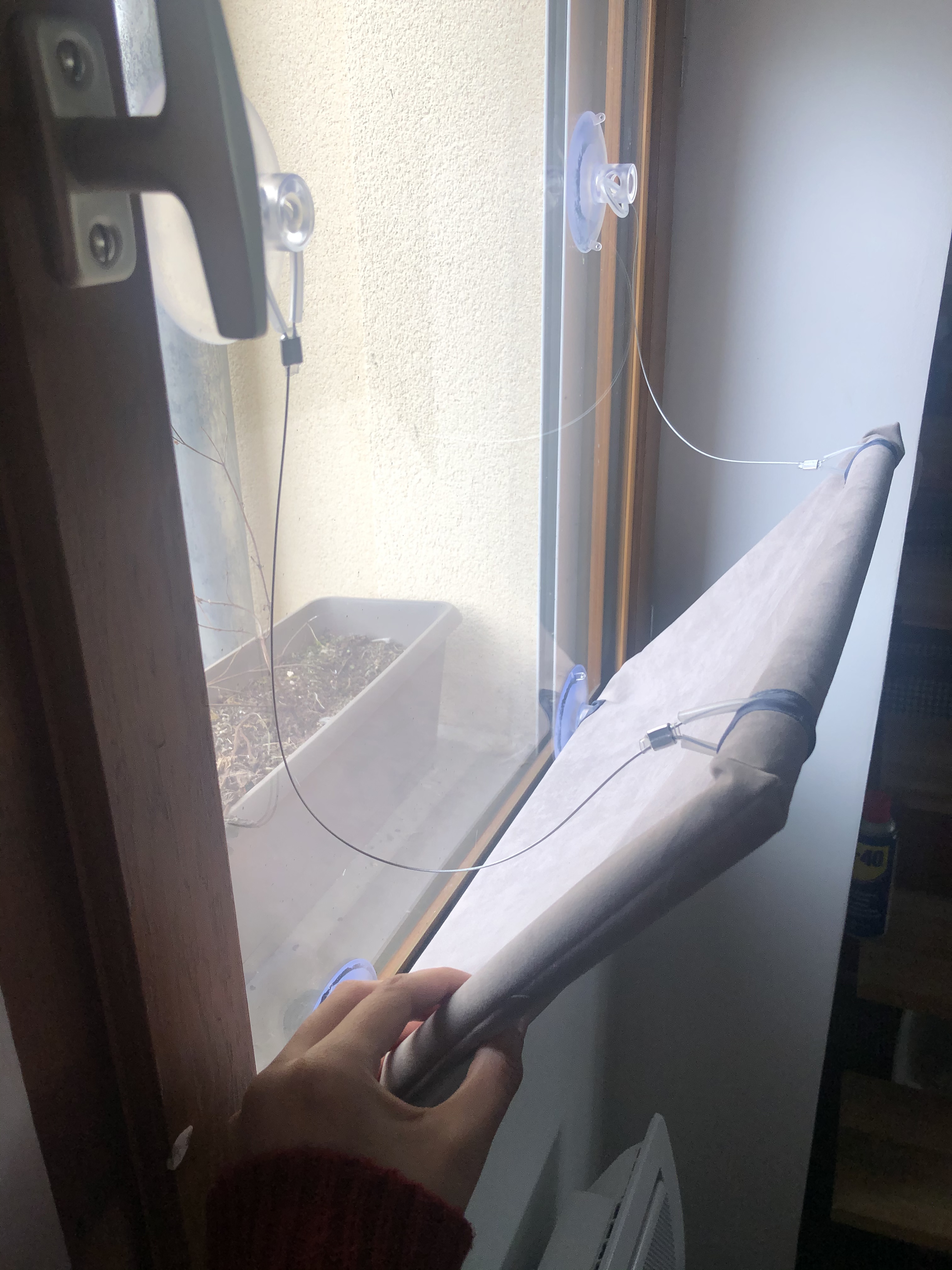 Adoptée dès la première heure