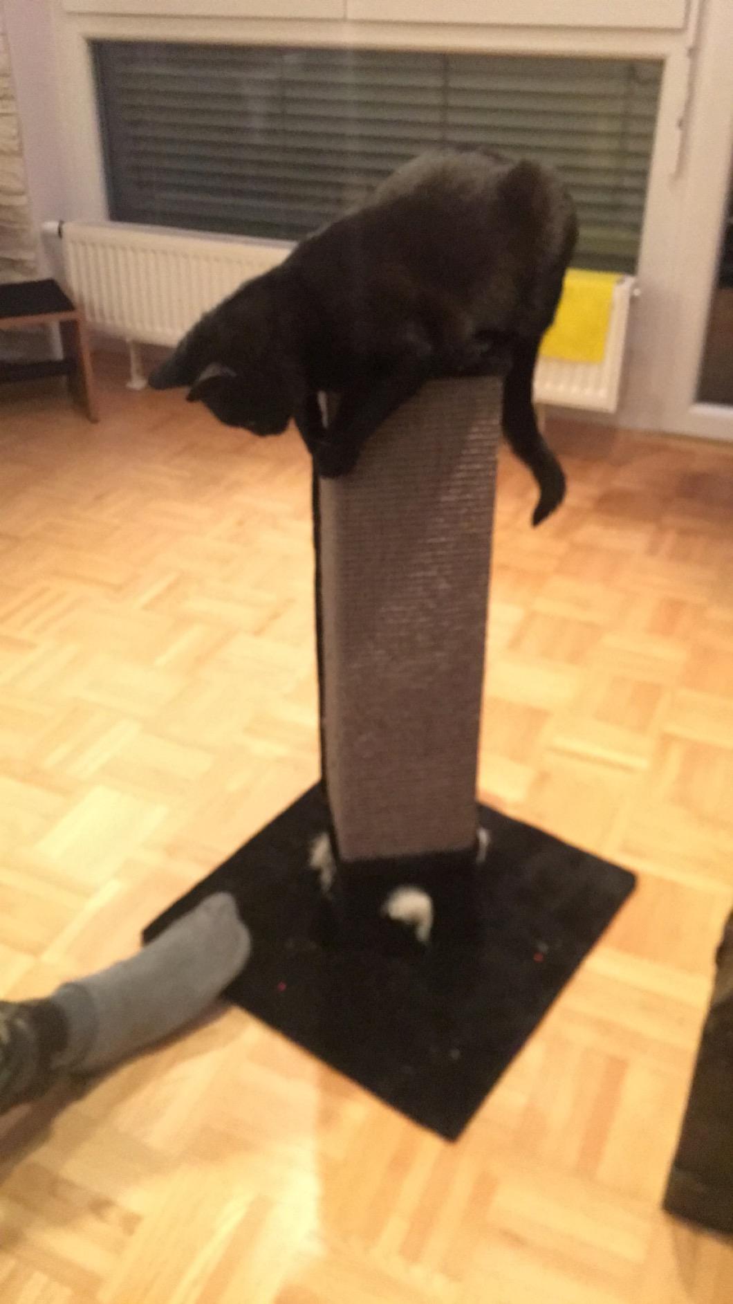 Mignon et pratique