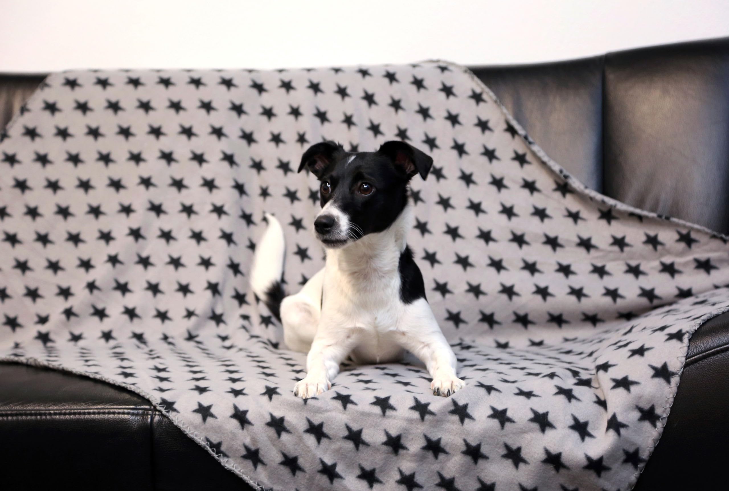 kerbl-stella-couverture-pour-chien-140-x-100-cm-motif-toiles image 5