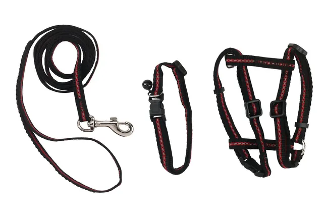 kerbl-pet-kit-pour-chat-harnais-laisse-120cm-collier-en-nylon image 1