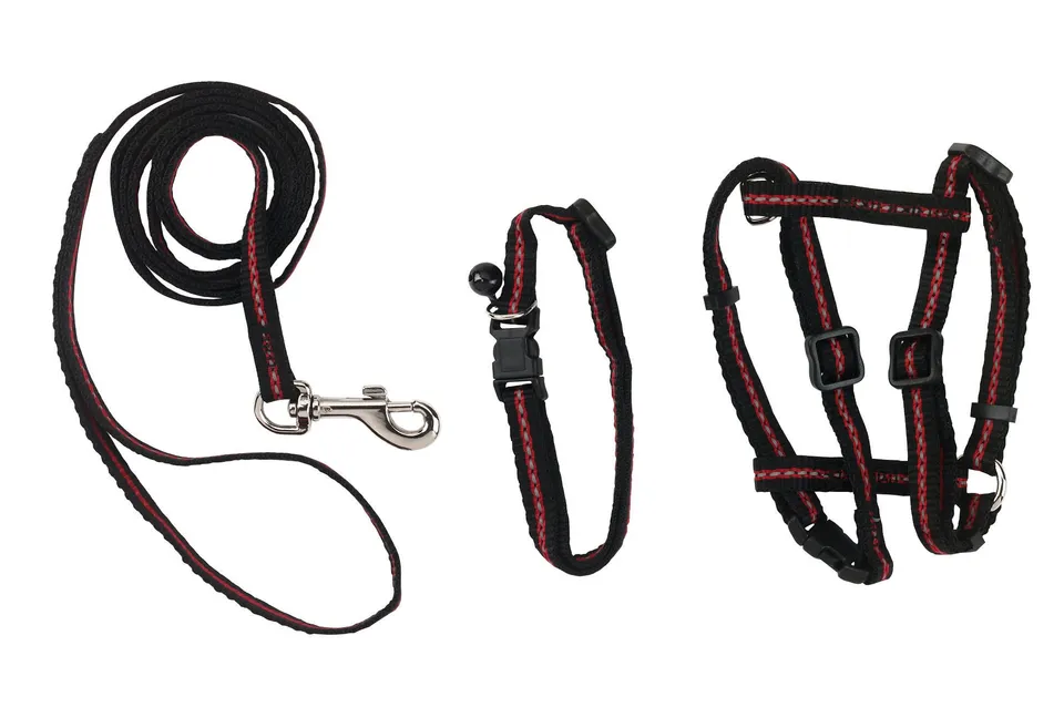 kerbl-pet-kit-pour-chat-harnais-laisse-120cm-collier-en-nylon image 1
