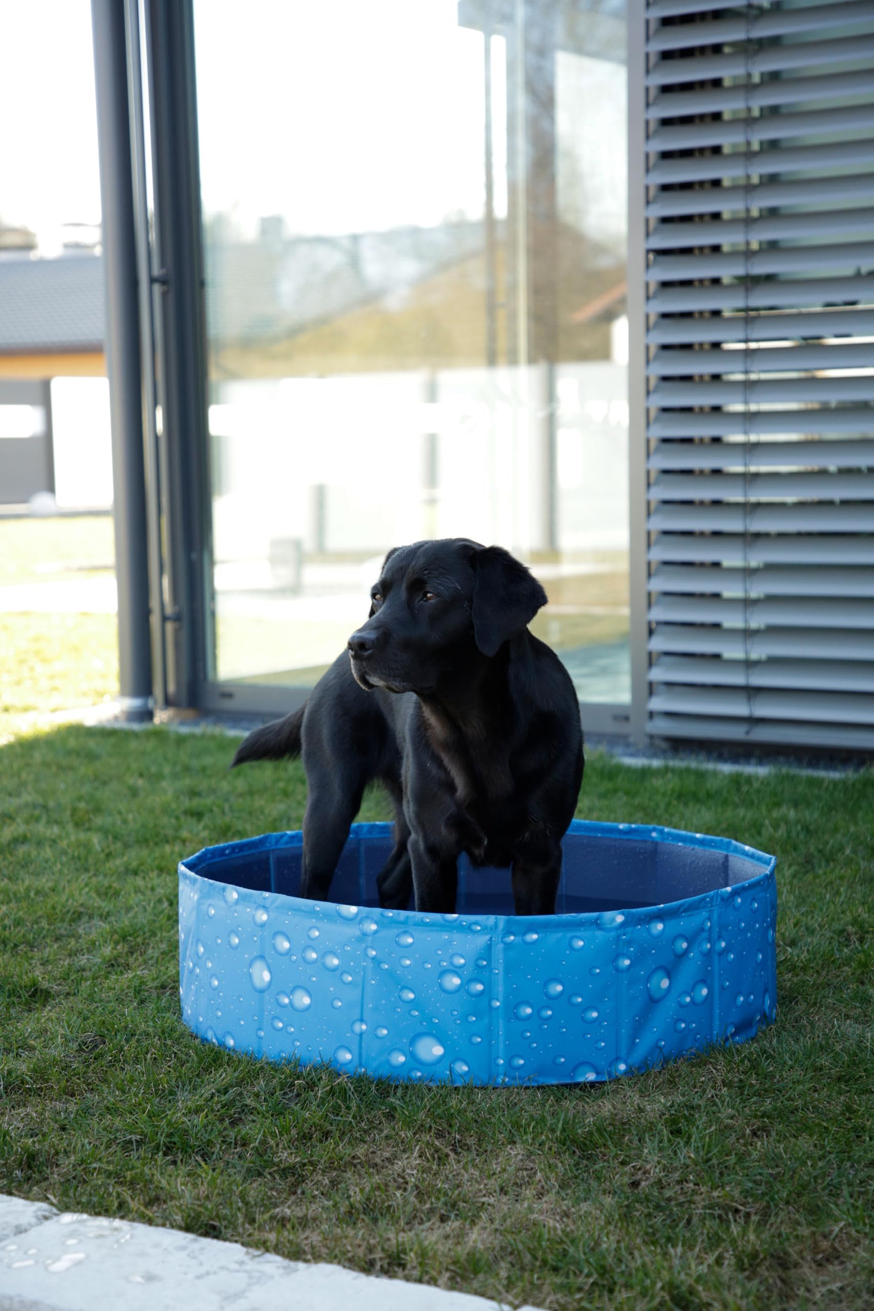 kerbl-pet-piscine-pour-chien-bubble-bleue-80-x-20-cm-pvc image 2