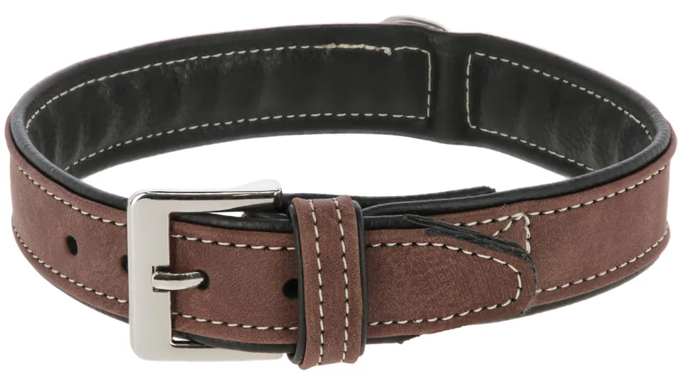 kerbl-california-collier-pour-chien-brun-41-47-cm-30-mm image 1