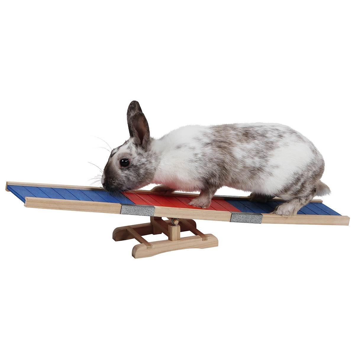kerbl-bascule-agility-pour-rongeur-en-bois-60-x-18-x-12-cm image 1