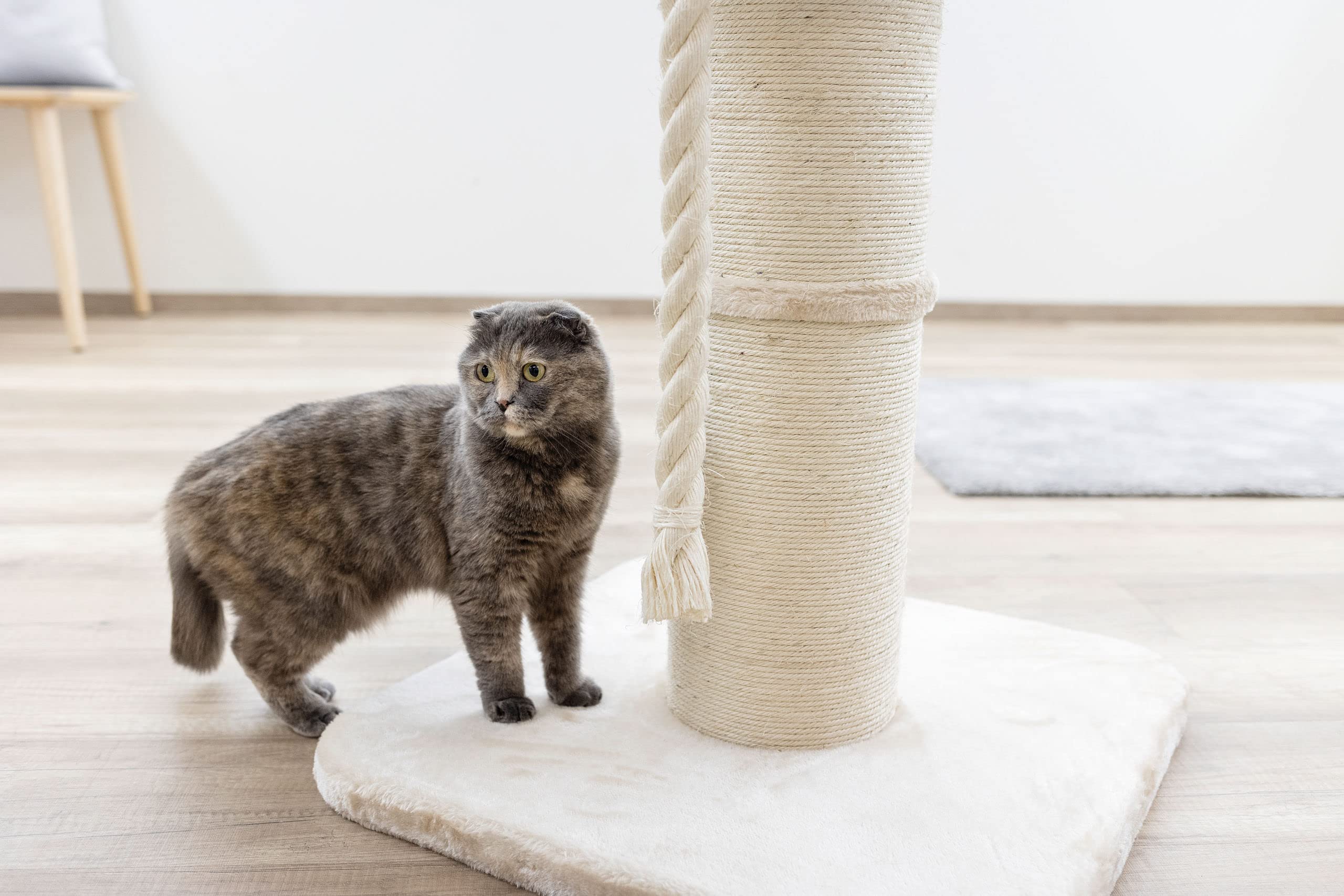 kerbl-pet-toni-xl-arbre-chat-beige-58x58x93-cm image 6