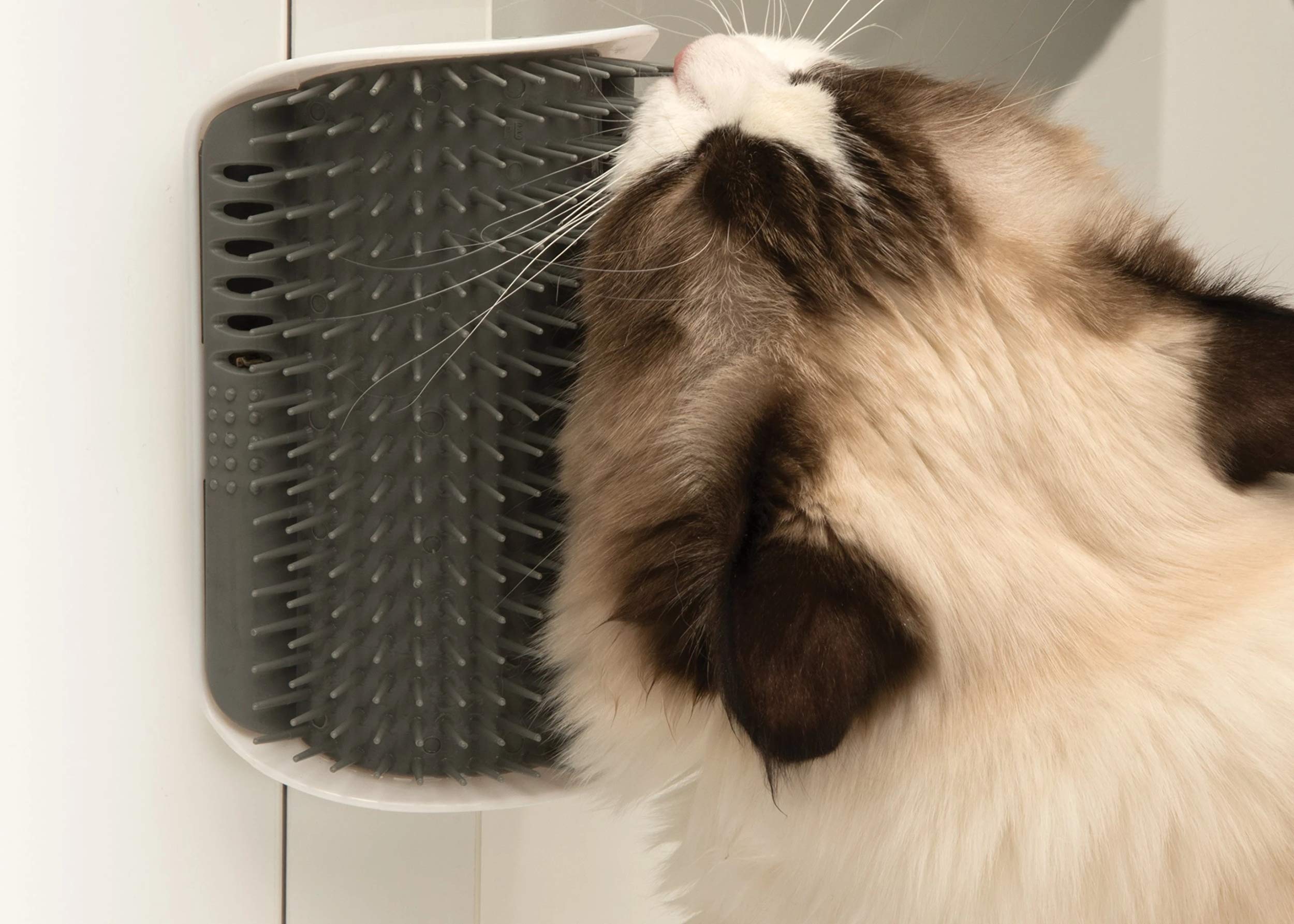 catit-senses-brosse-auto-toiletteur-pour-chat-avec-herbe-chat image 5
