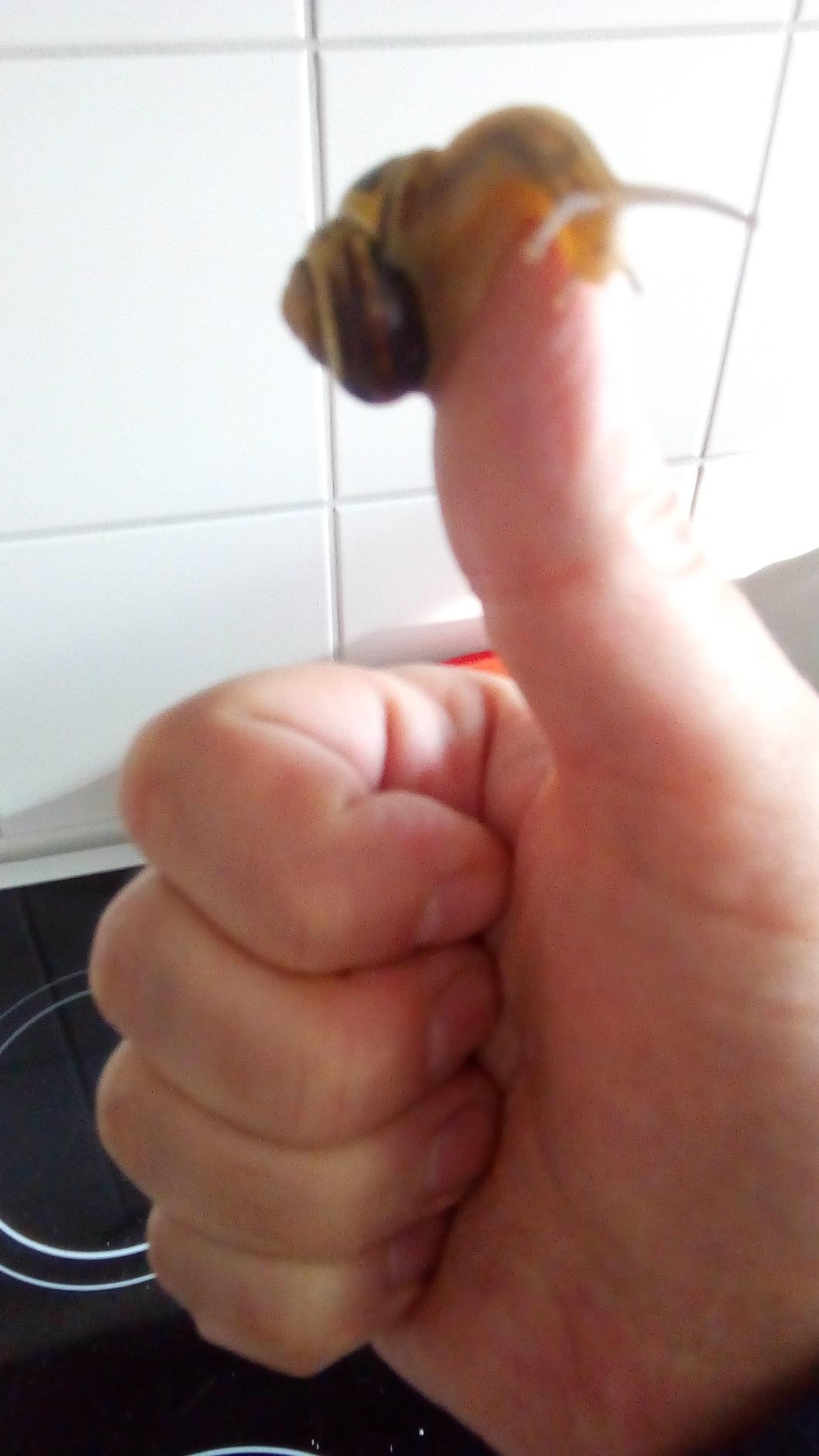 Pratique et joli