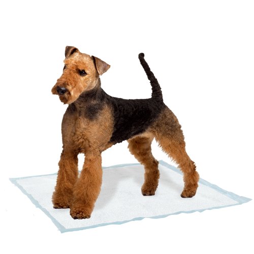 ferplast-genico-large-tapis-hygi-nique-adh-sif-super-absorbant-pour-chien image 7