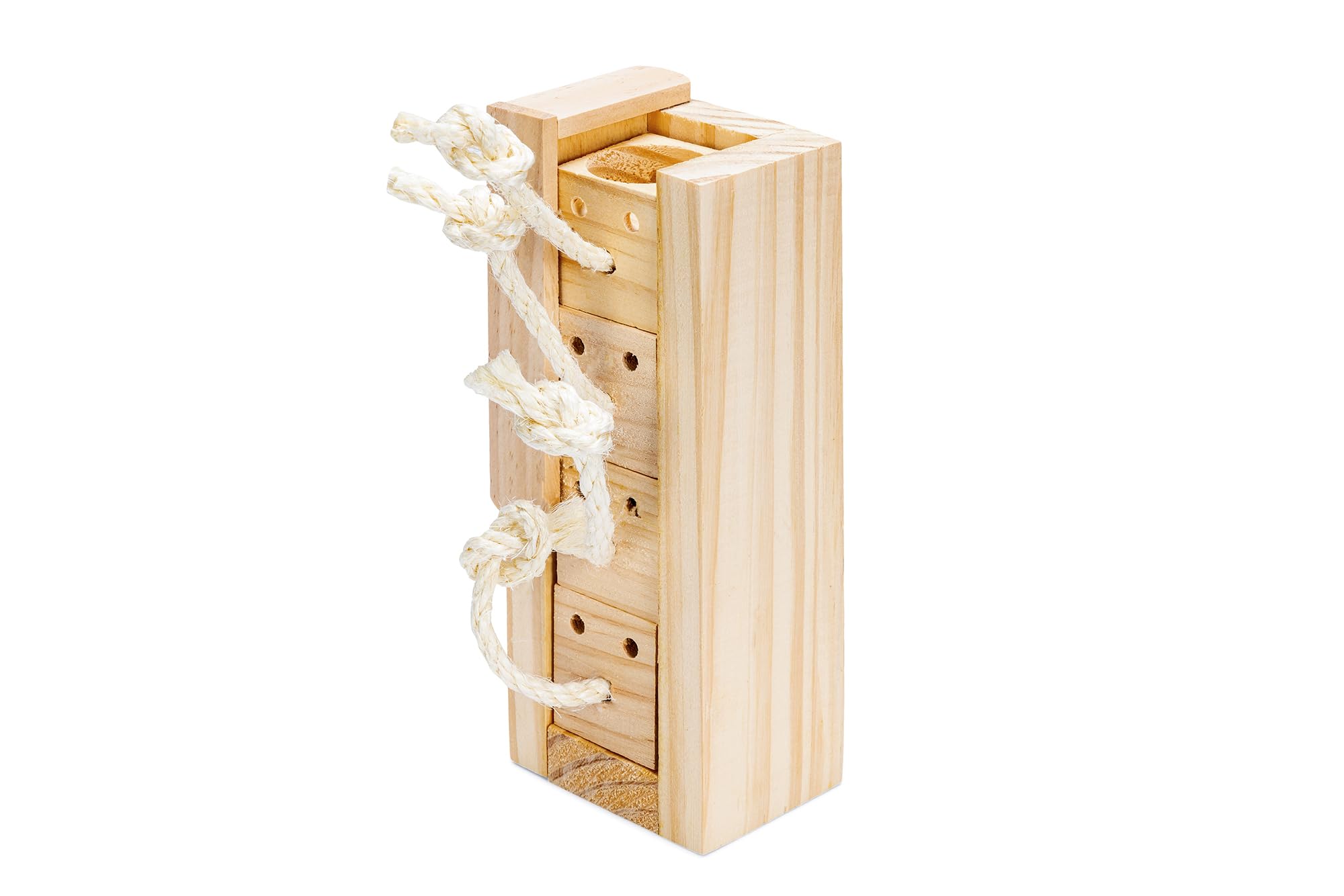 karlie-rody-cube-train-c-r-bral-jouet-d-intelligence-rongeurs-4-blocs-bois-natur image 4