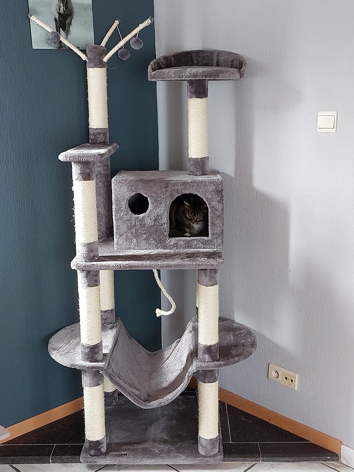 Palace à chats