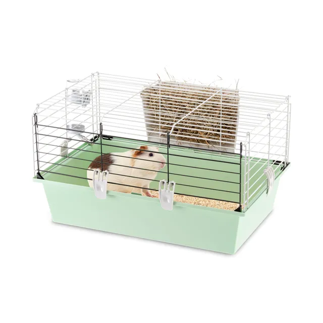 ferplast-cavie-60-cage-cochon-d-inde-58-x-38-x-h-31-5-cm-avec-accessoires image 1