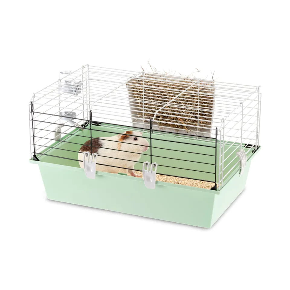 ferplast-cavie-60-cage-cochon-d-inde-58-x-38-x-h-31-5-cm-avec-accessoires image 1
