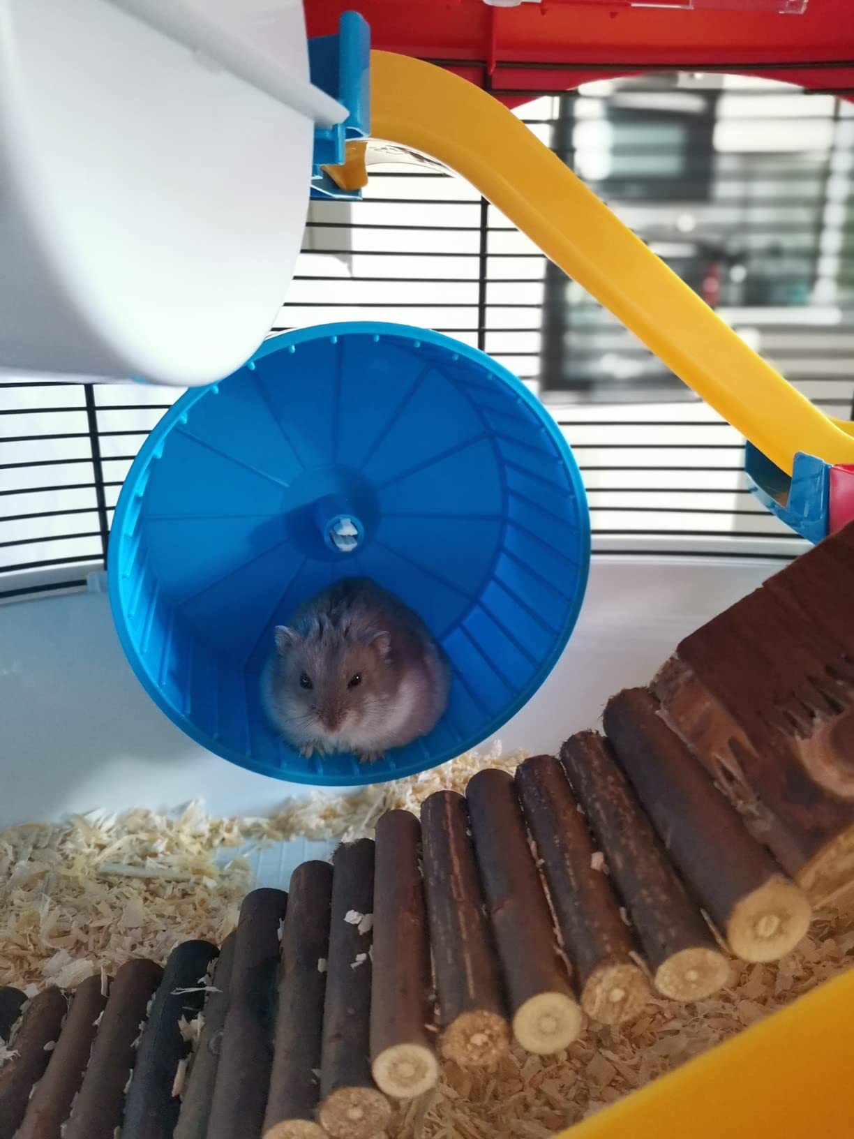 Super cage pour mon hamster