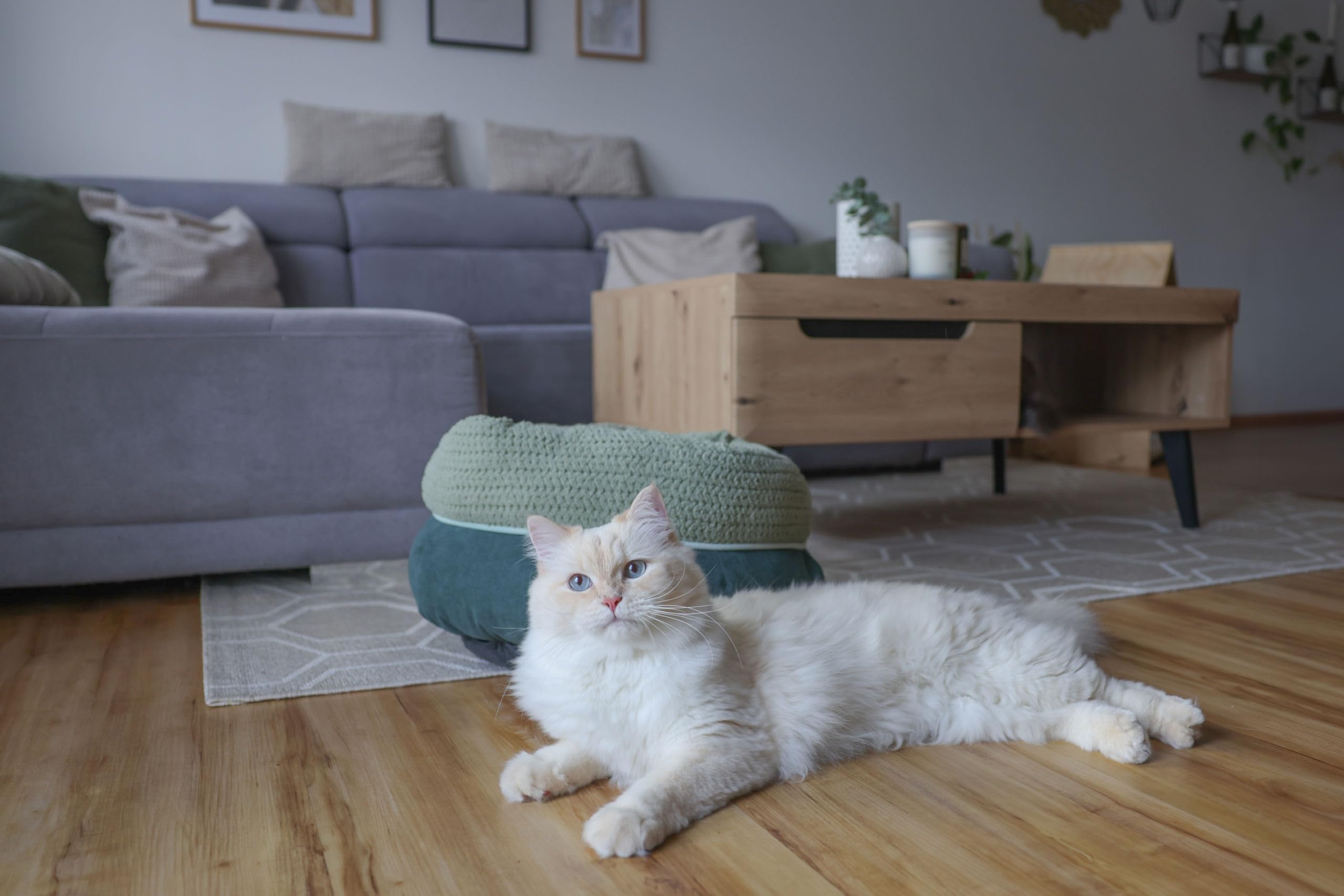 kerbl-pet-anne-nid-douillet-pour-chat-vert-diam-tre-40-cm-hauteur-23-cm image 2