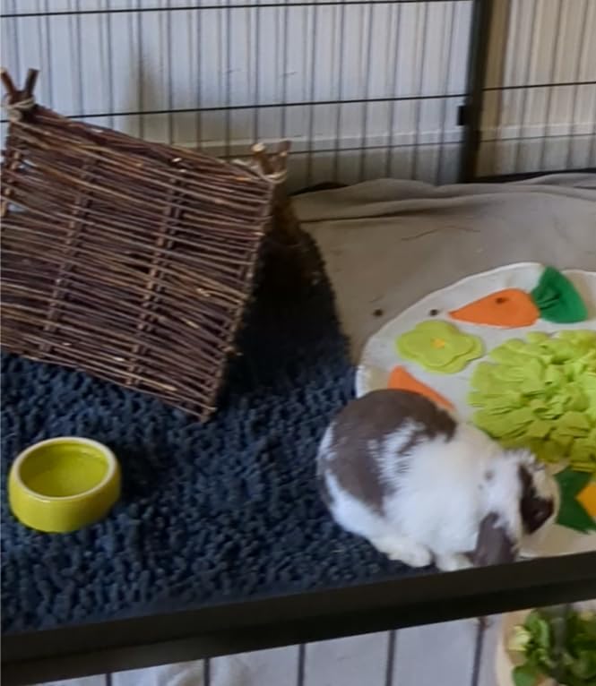 Mes lapins adorent