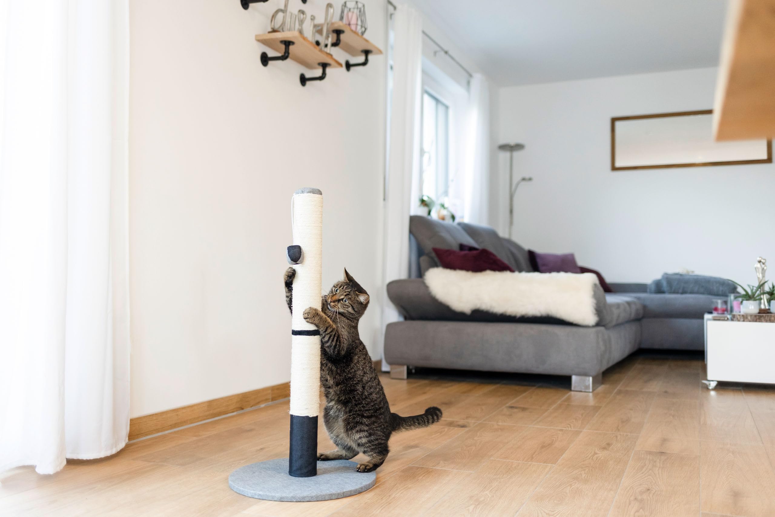kerbl-pet-opal-pro-gris-noir-arbre-chat-40-x-40-x-80-cm-avec-balle-de-jeu image 3