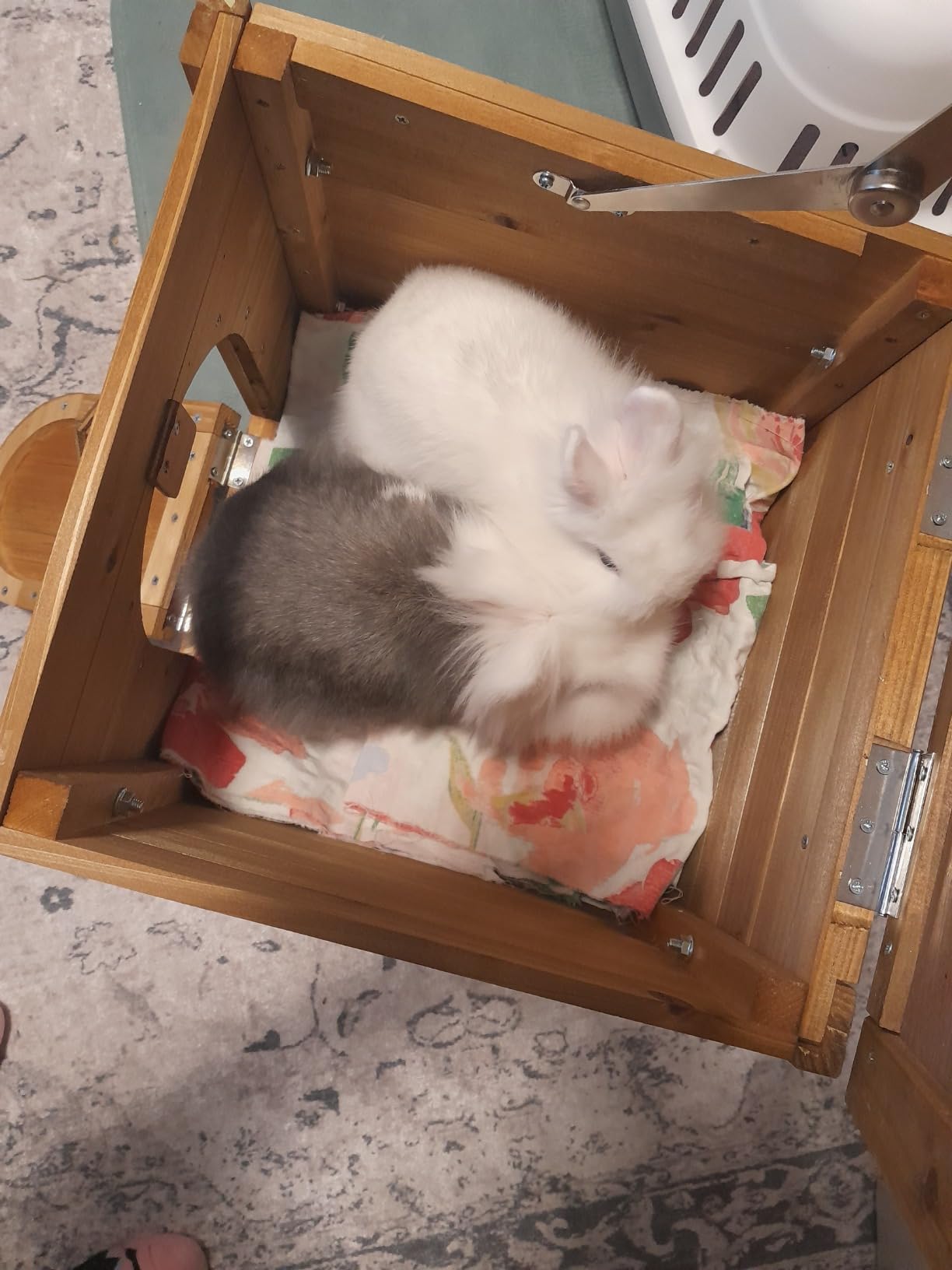 Cabane parfaite
