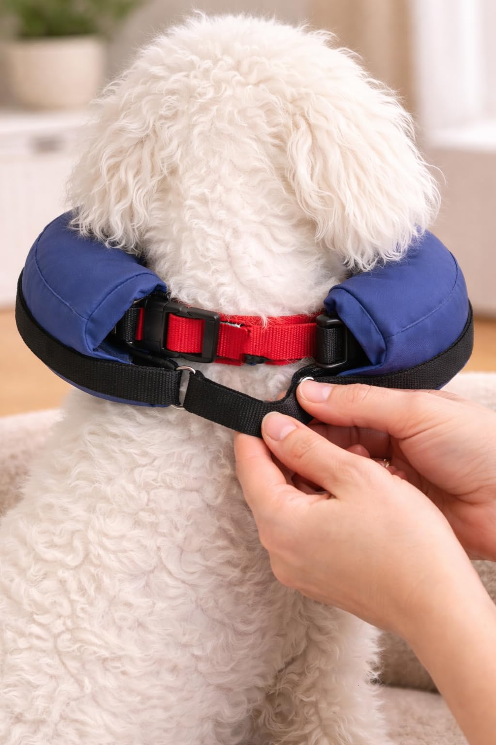 karlie-flamingo-collerette-gonflable-pour-chien-taille-xs image 5