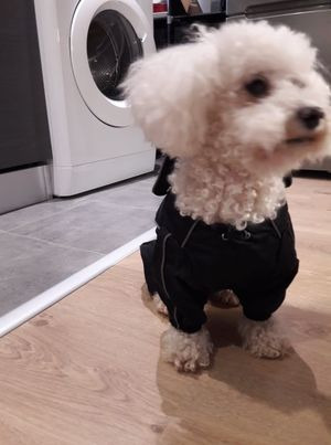 Bon petit manteau de pluie