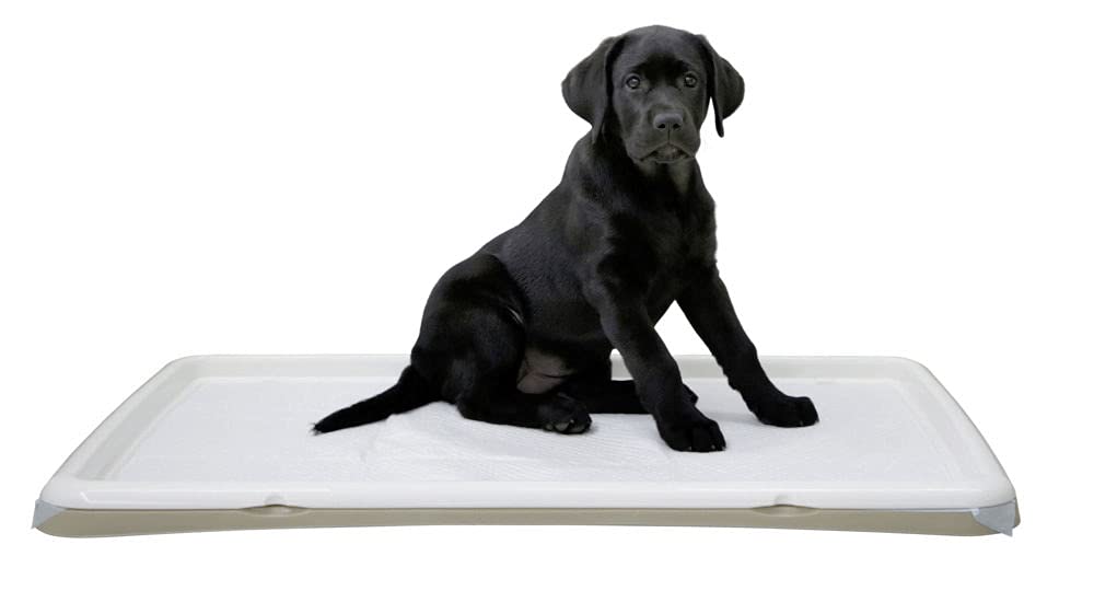 kerbl-pet-toilettes-pour-chiots-xl-90-x-60-x-4-cm-cr-me image 1