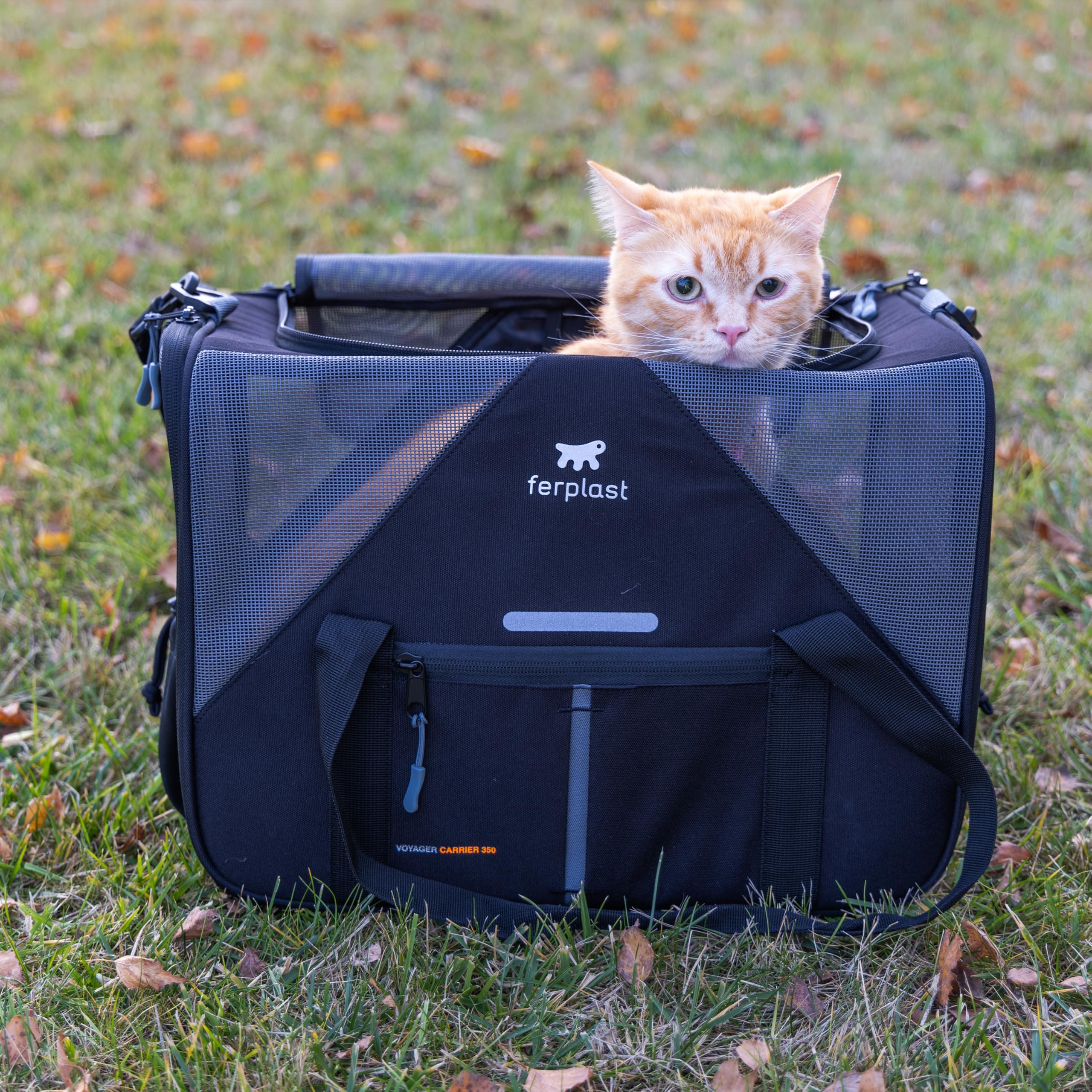 ferplast-voyager-carrier-350-sac-transport-chien-et-chat-45x30x-h33-cm-max-15-kg image 8