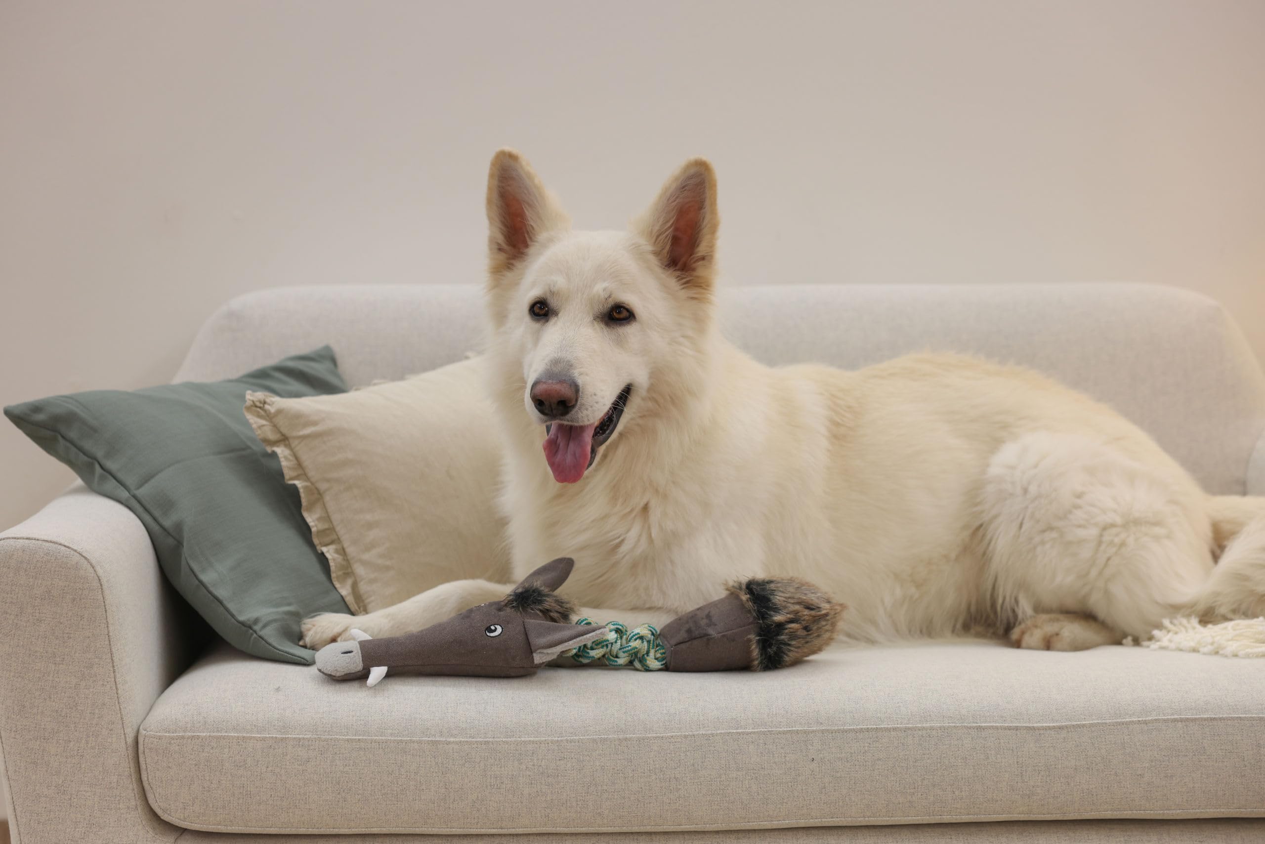 kerbl-pet-jouet-chien-sanglier-17-x-56-cm-avec-corde-et-couineur image 4