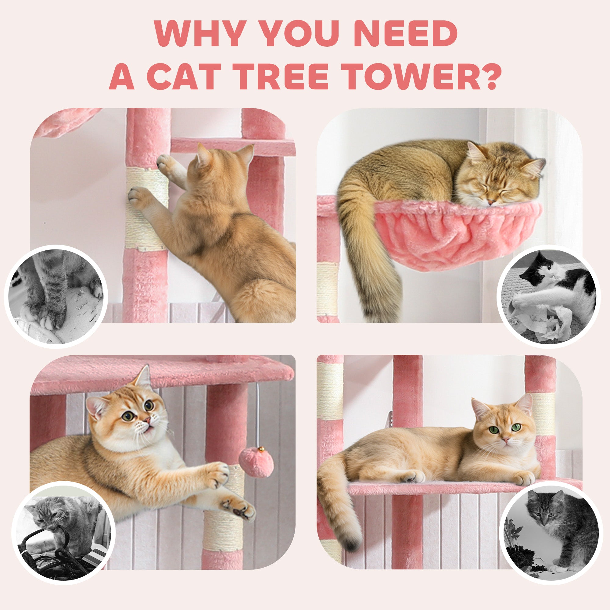 pawhut-arbre-chat-du-sol-au-plafond-7-niveaux-avec-hamacs-rose image 6