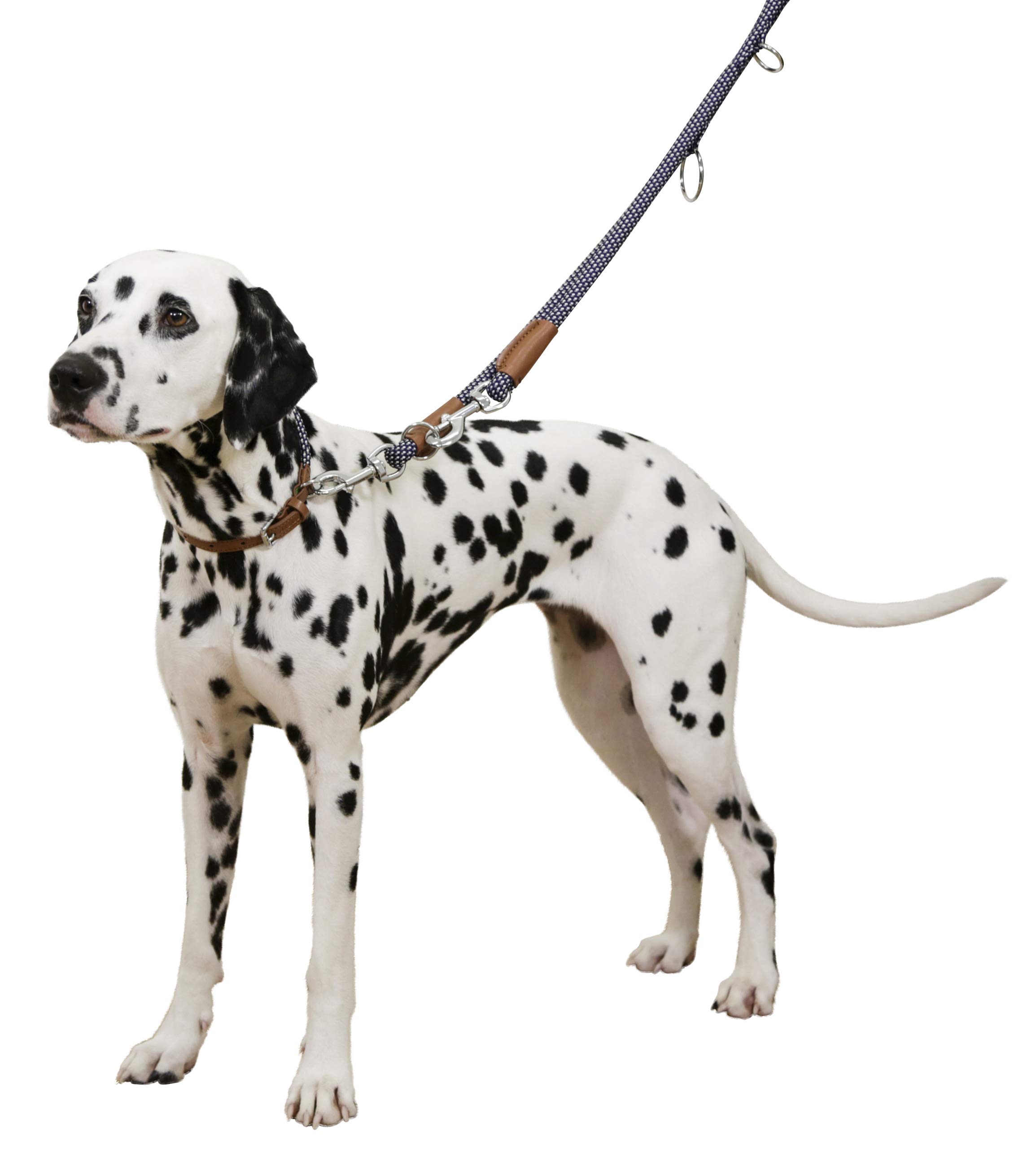 kerbl-phoenix-laisse-courte-ronde-pour-chien-bleu-marron-100cm-9mm image 2
