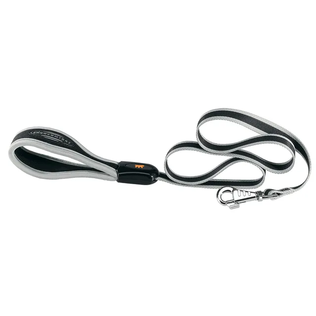 ferplast-laisse-chien-nylon-ergocomfort-120-cm-x-1-5-cm-argent image 1