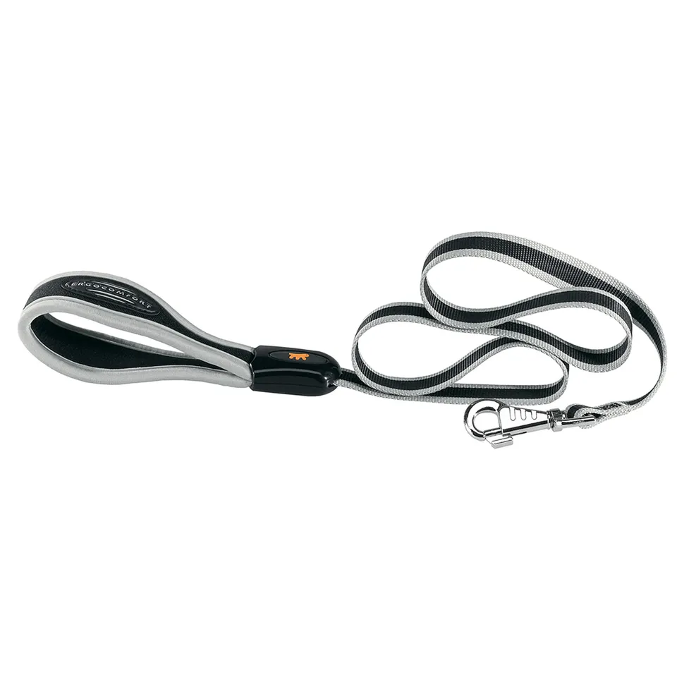 ferplast-laisse-chien-nylon-ergocomfort-120-cm-x-1-5-cm-argent image 1