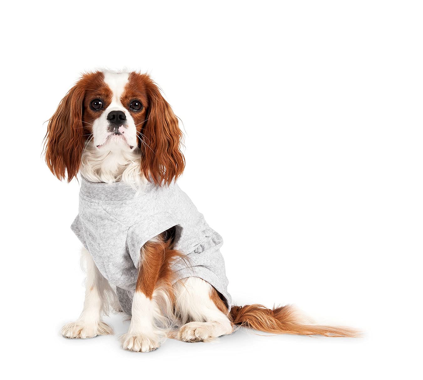 karlie-flamingo-safety-body-veste-rafra-chissante-pour-chien-gris-26-cm image 5