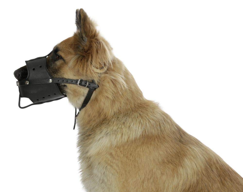 kerbl-museli-re-en-cuir-noir-8-5-x-30-cm-pour-chien image 2