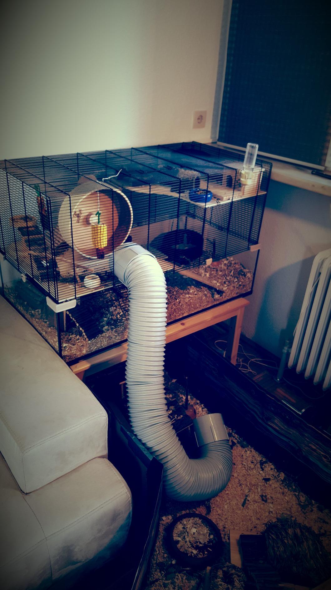 Top pour hamster