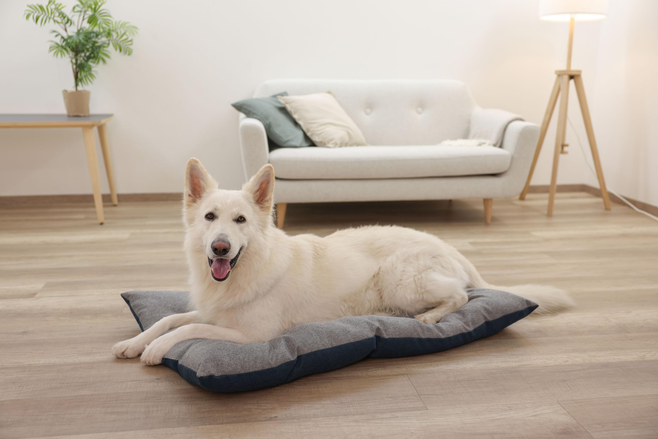 kerbl-pet-ely-coussin-r-versible-chiens-et-chats-gris-p-trole-75x115-cm image 7