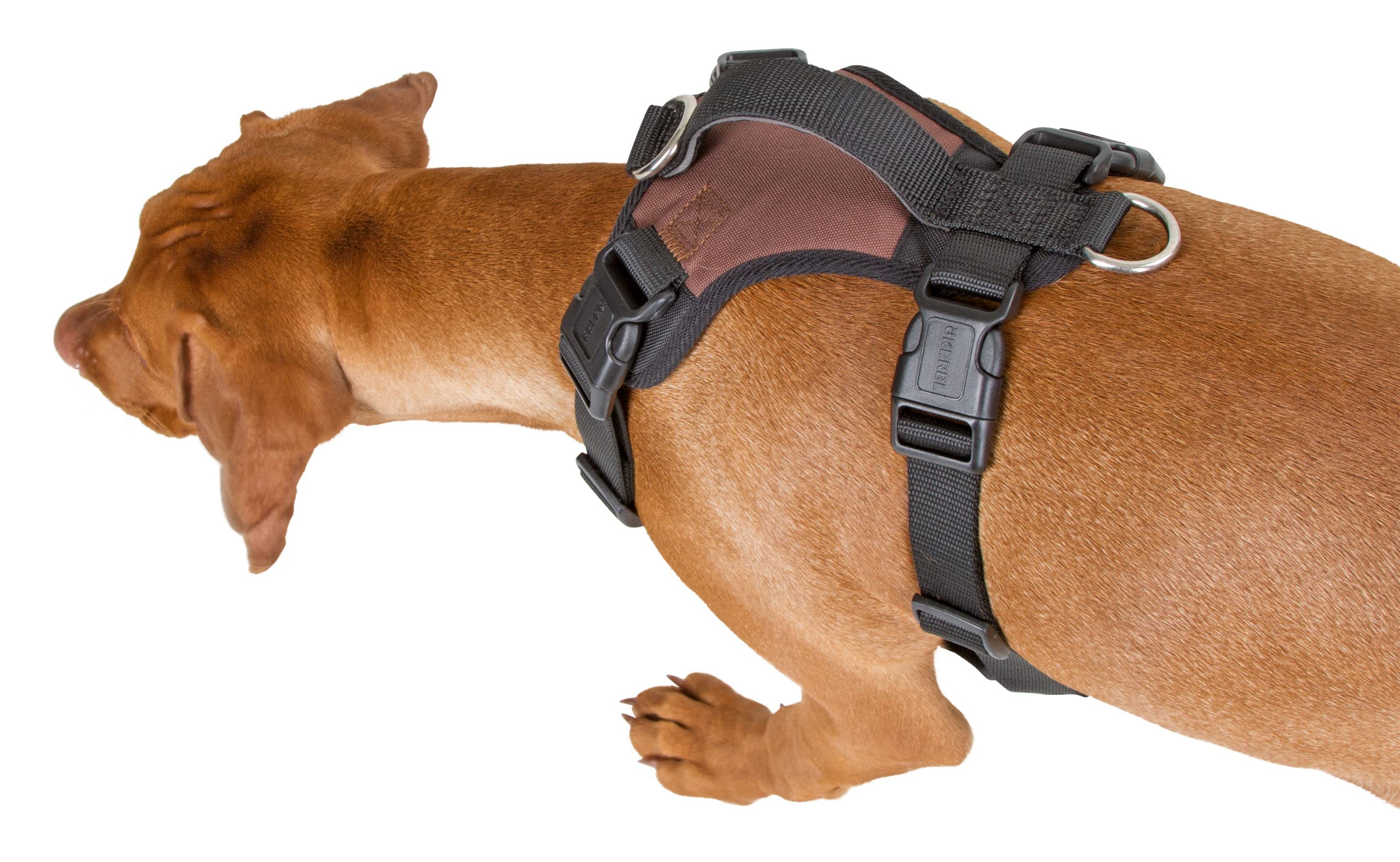 kerbl-pulsive-harnais-chien-r-glable-avec-bandes-r-fl-chissantes image 4