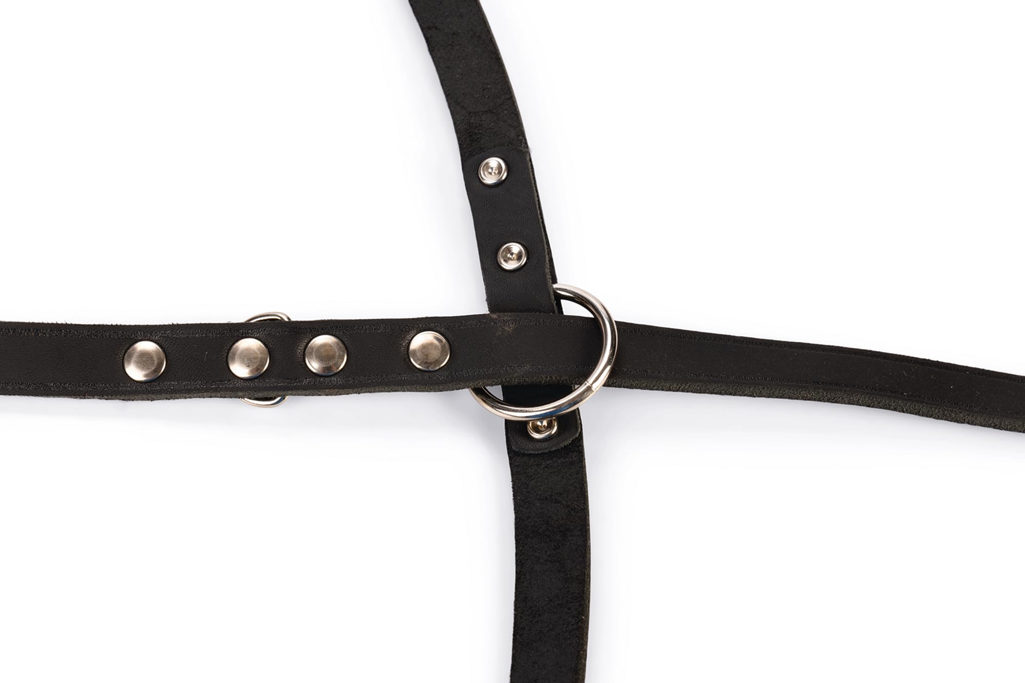 karlie-rondo-laisse-en-cuir-noir-18-mm-x-200-cm image 4
