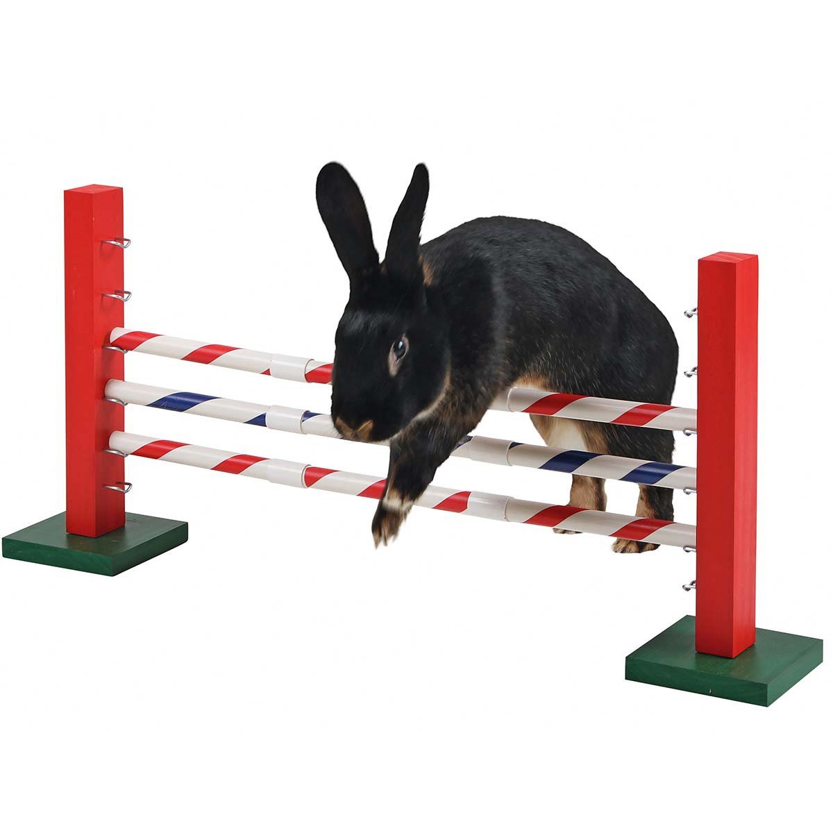 kerbl-pet-obstacle-hauteur-agility-rongeur-70-x-5-x-35-cm-hauteur-r-glable image 1