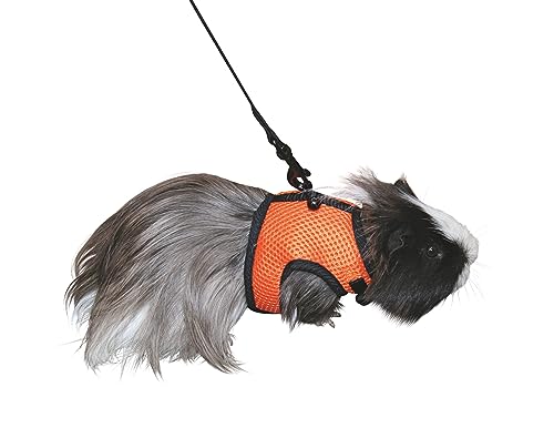 kerbl-harnais-pour-rongeurs-sport-22-30-cm-mesh-avec-laisse-120-cm image 5