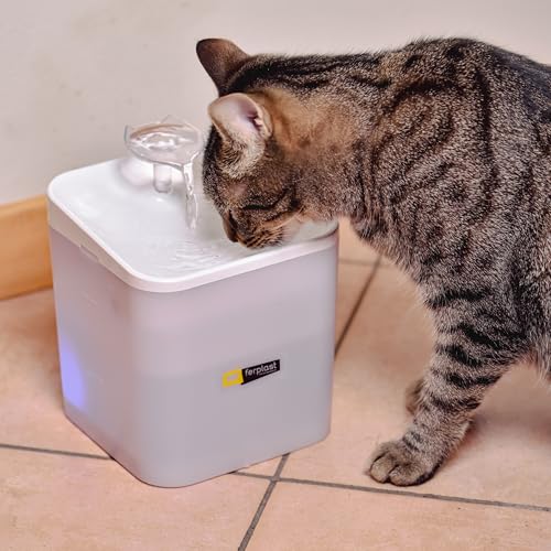 ferplast-ares-fontaine-eau-pour-chat-2-litres-avec-led image 8