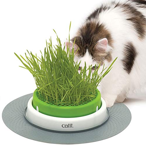 catit-senses-2-0-jardin-d-herbe-pour-chat-jardini-re-basse-stable-avec-drainage image 3