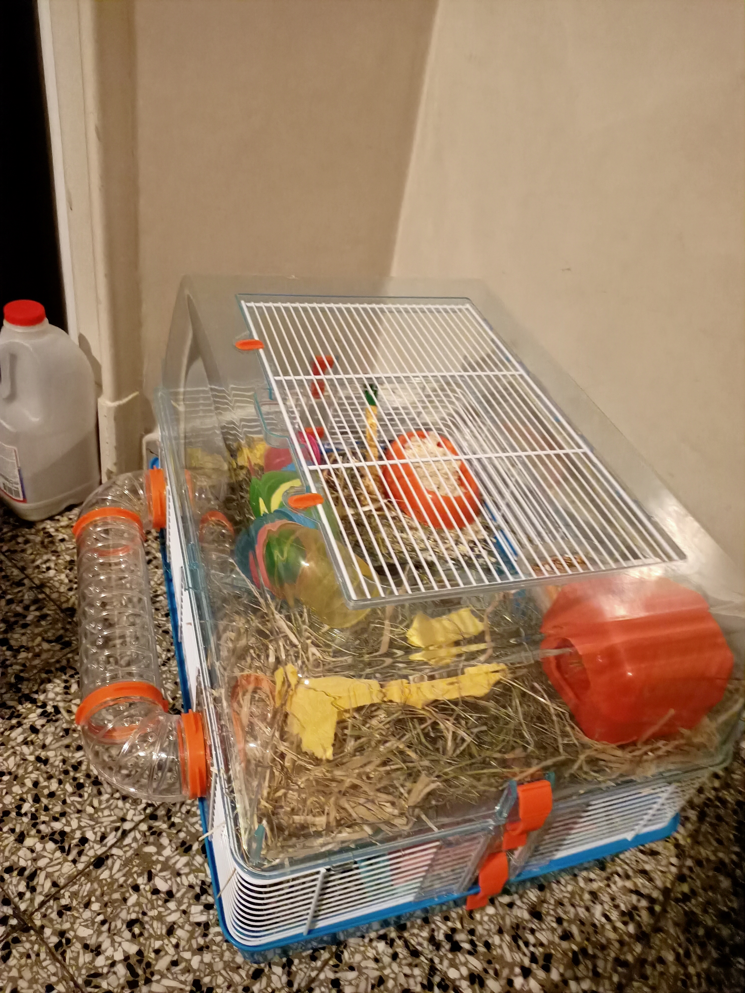 Belle cage pour débuter
